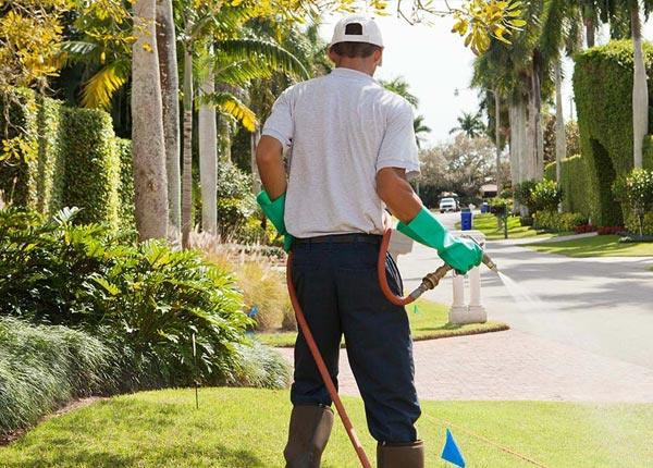 About Lederach PA Pest Control Pros